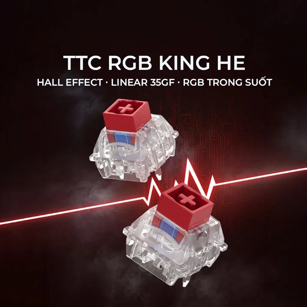 TTC TTC RGB — ảnh 2 trên 2